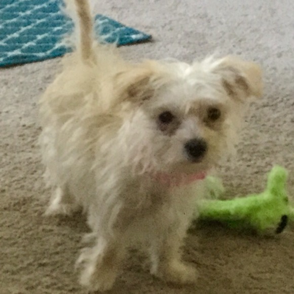 Meet your Posher, Kathy - Picture 1 of 1